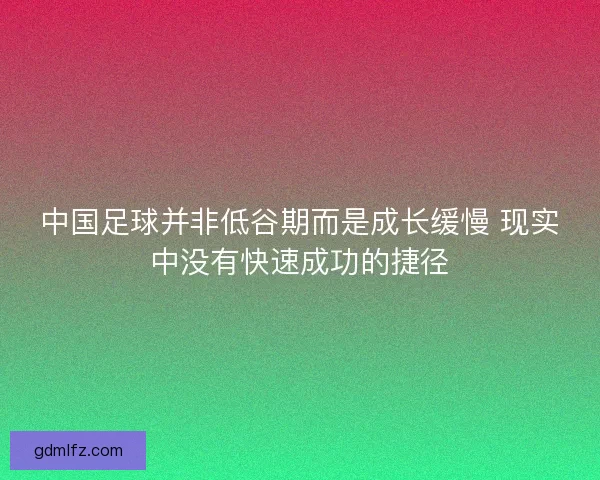 中国足球并非低谷期而是成长缓慢 现实中没有快速成功的捷径
