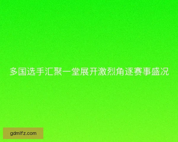 多国选手汇聚一堂展开激烈角逐赛事盛况